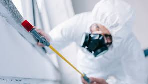 Best Pest Exclusion Services  in Mystic Island, NJ